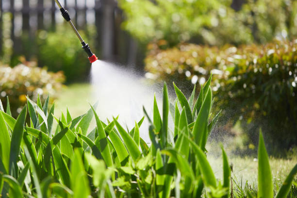 24/7 Emergency Mosquito Control experts in Syracuse, NY