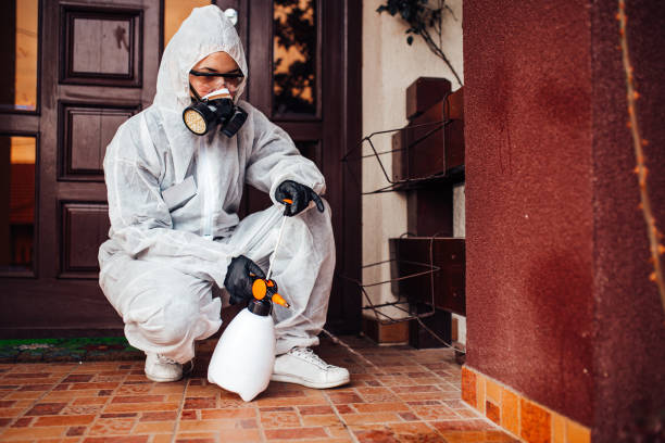 Reliable Mosquito Control contractor in Syracuse, NY by Show Me Pest Control